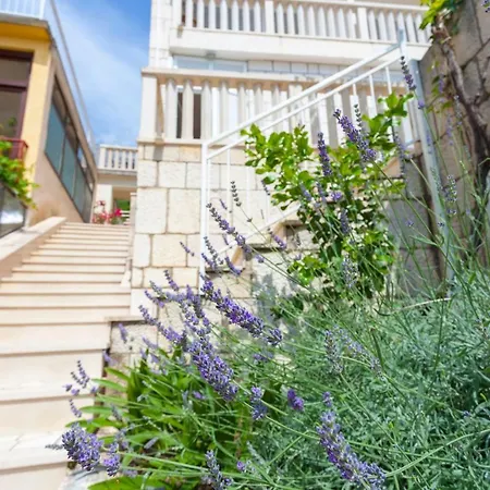 ゲストハウス Ivan Ledic